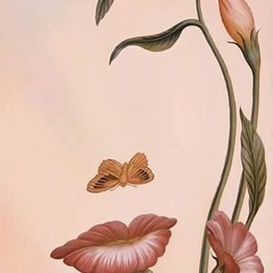 Meet your Posher, Kathie